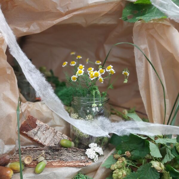 kurs florysta