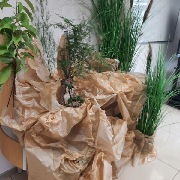 kurs florysta