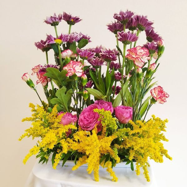 kurs florysta