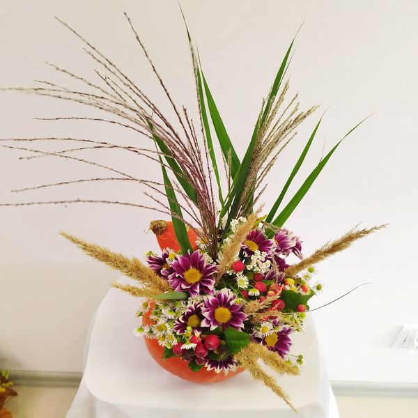 kurs florysta